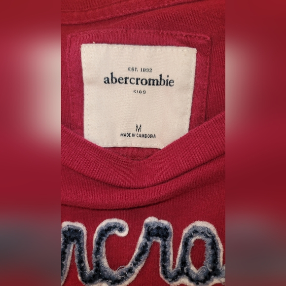 🎯 LAST CHANCE $5 FIRM  Abercrombie Girls M (12) L/S top w/collegiate lettering - Picture 3 of 5